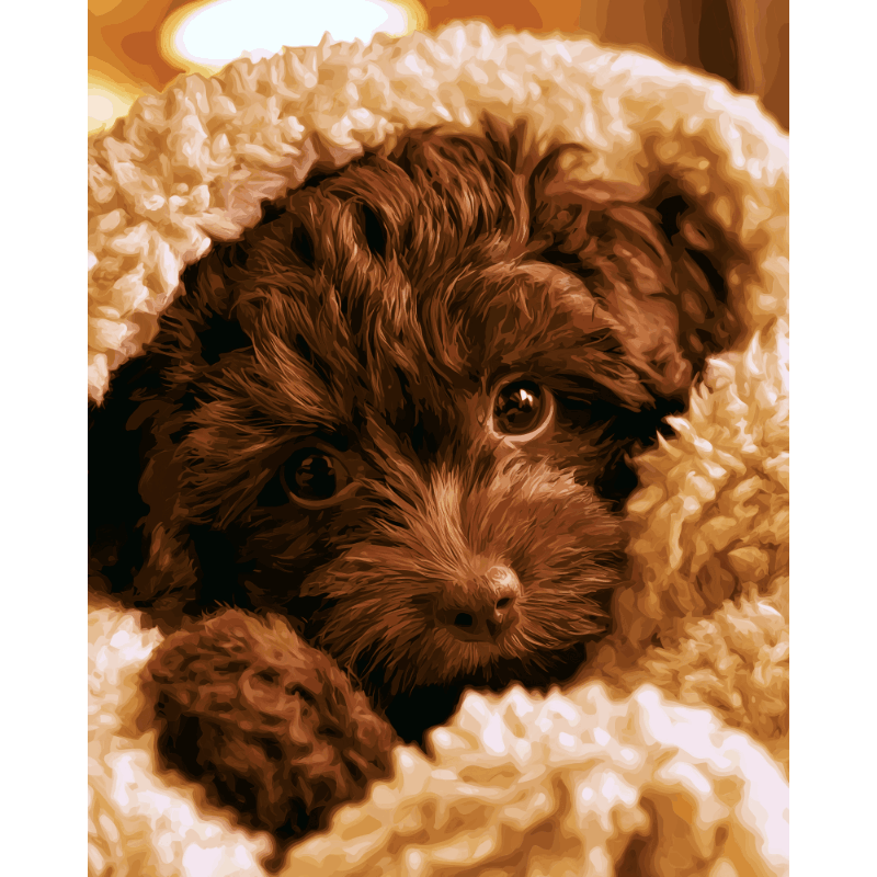 Teddy Bear Pup | Paint by Number- Paint by Numbers