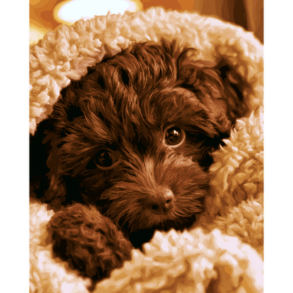 Teddy Bear Pup | Paint by Number- Paint by Numbers