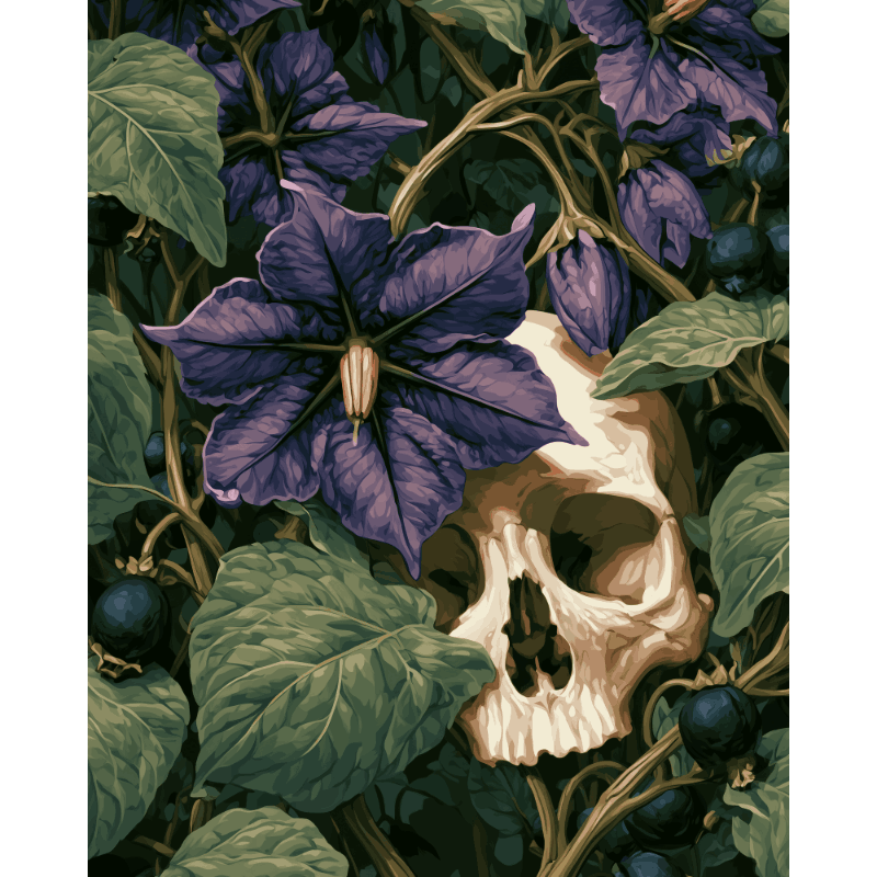 Dark Nightshade Flower | Paint by Number