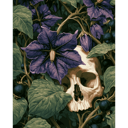 Dark Nightshade Flower | Paint by Number