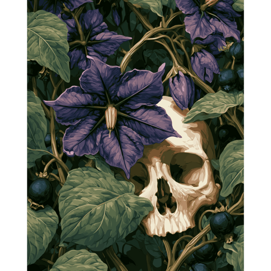 Dark Nightshade Flower | Paint by Number