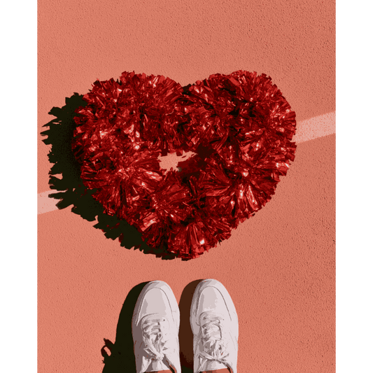 Red Heart Pom-Pom | Paint by Number