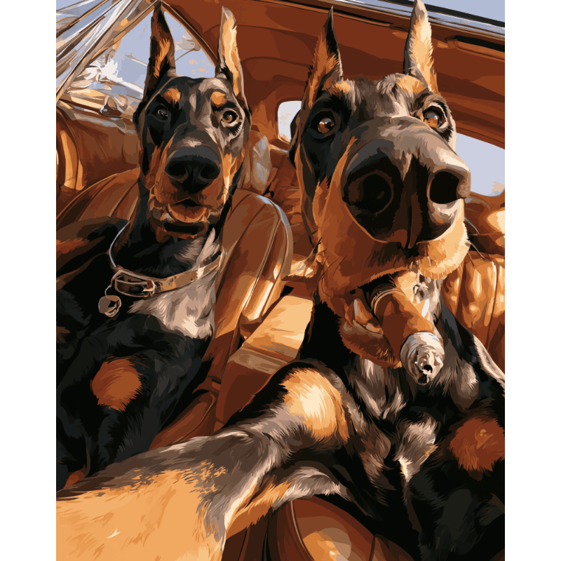 Double Trouble | Paint by Number - Paint by numbers