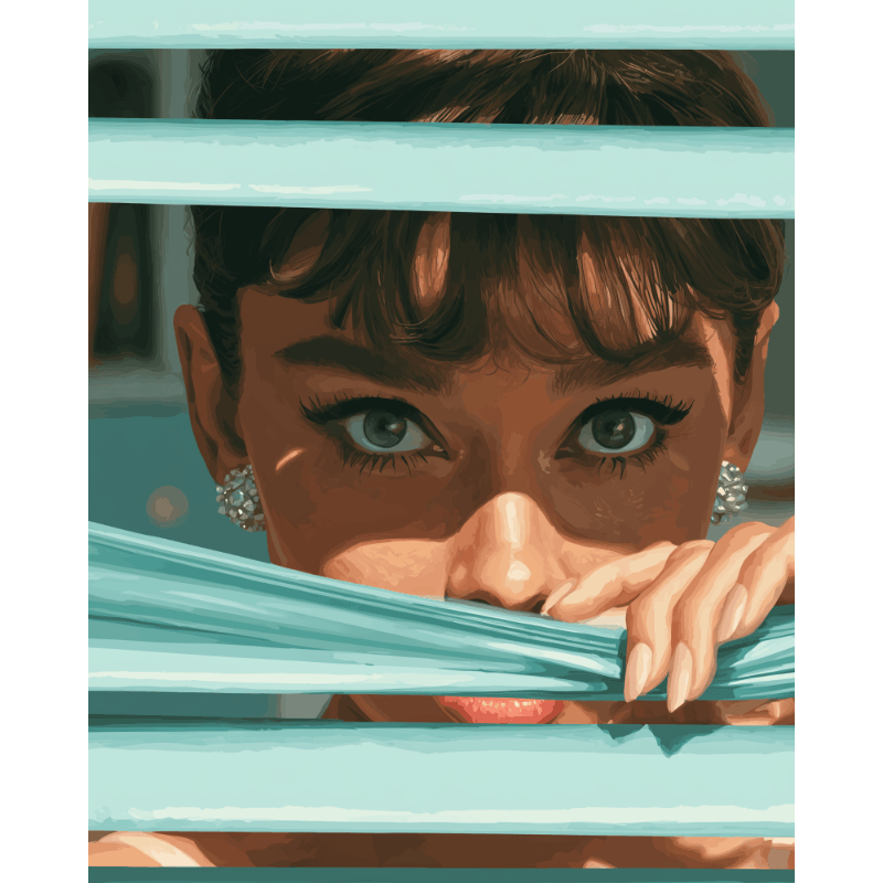 Expensive Glance | Paint by Number - Paint by numbers