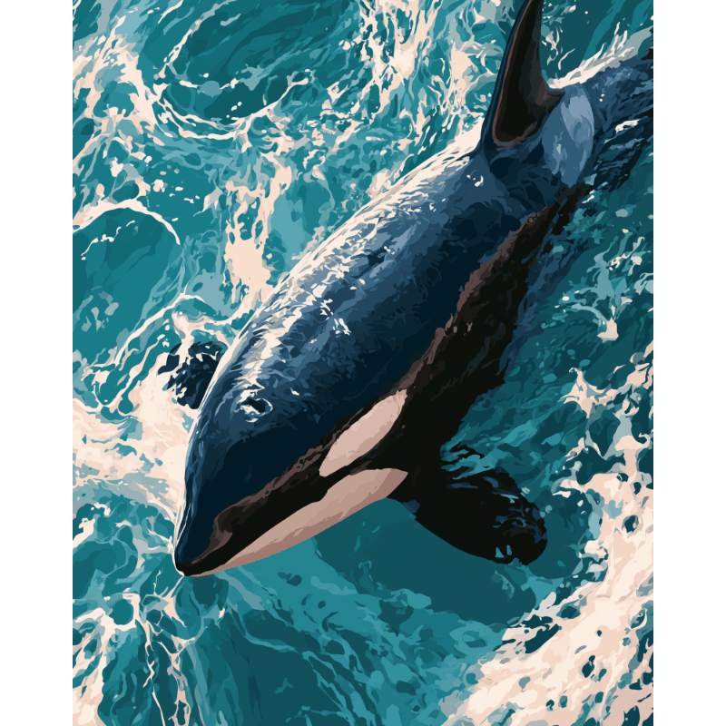 Orca Love | Paint by Number - Paint by numbers