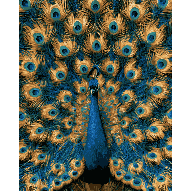Proud Peacock | Paint by Number - Paint by numbers