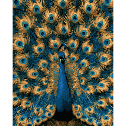 Proud Peacock | Paint by Number - Paint by numbers