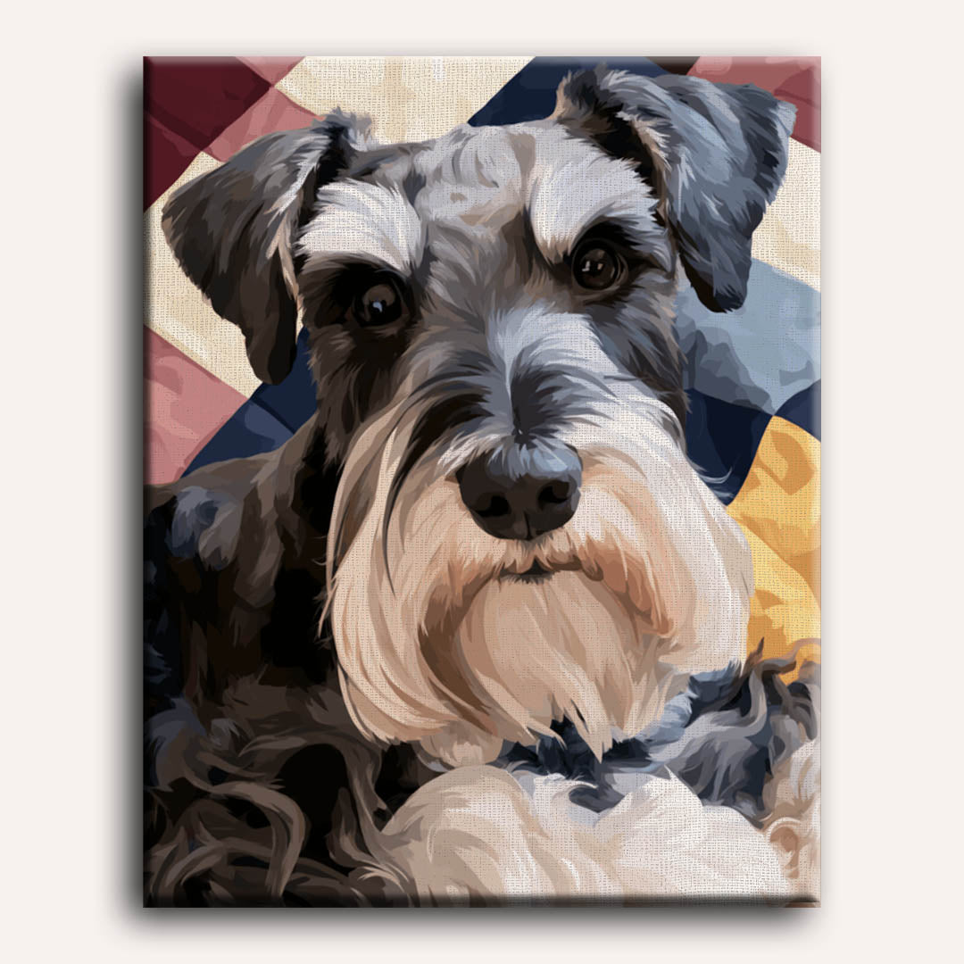 Schnauzer clásico | Pintar por números