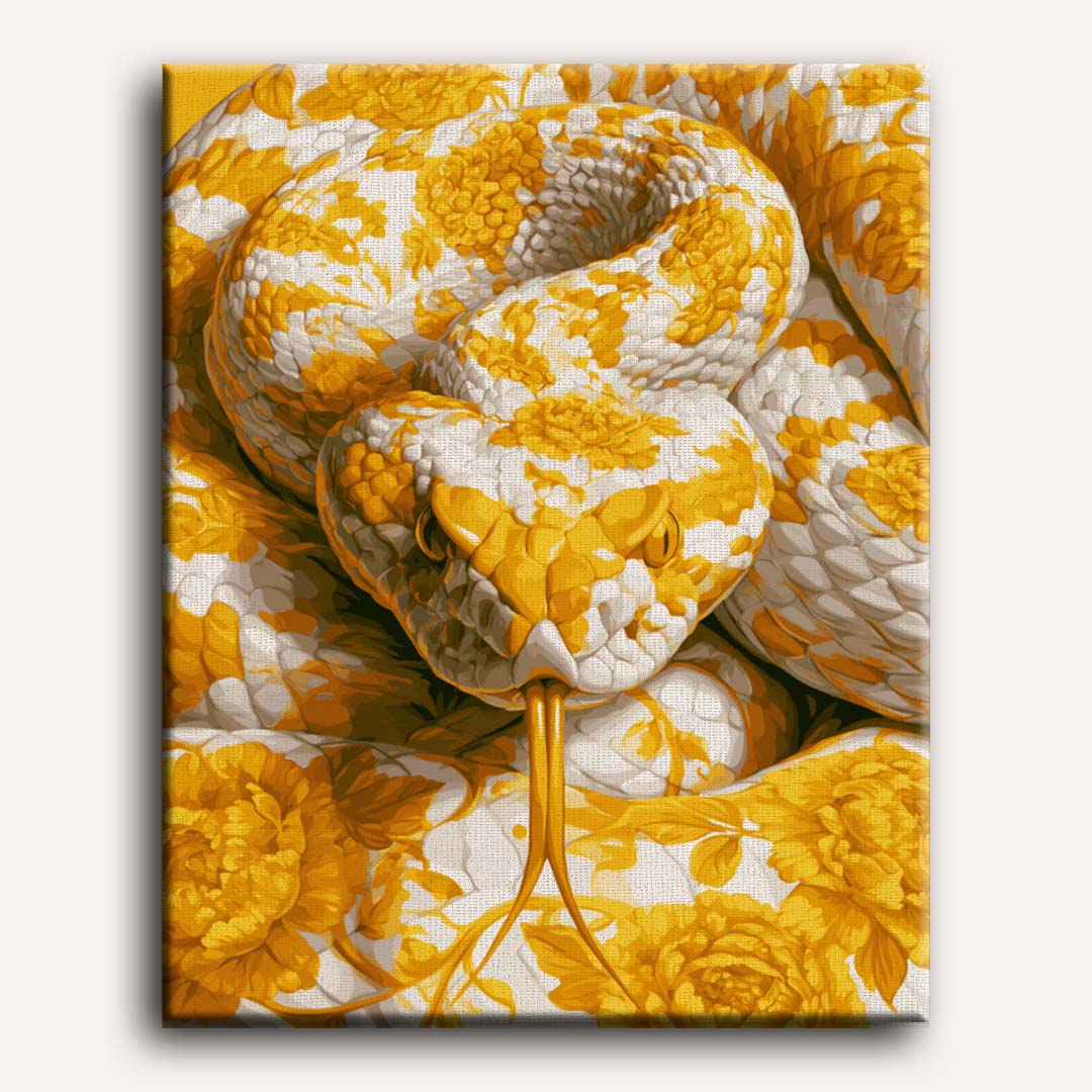 Serpent doré enroulé | Peinture à numéros