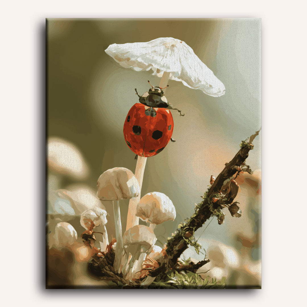 Coccinelle sur le champignon | Peinture à numéros