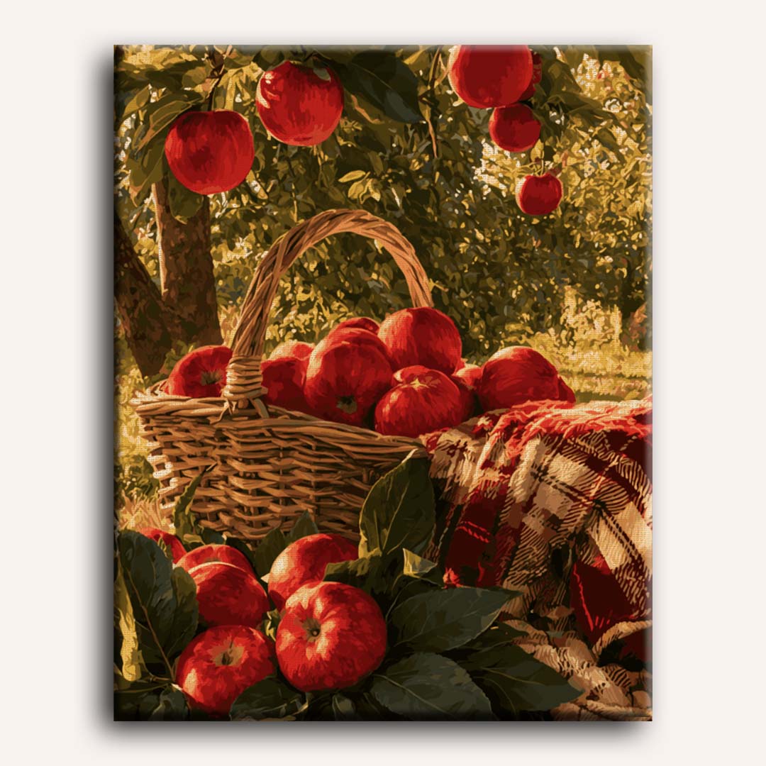 Panier de pommes du verger | Peinture à numéros