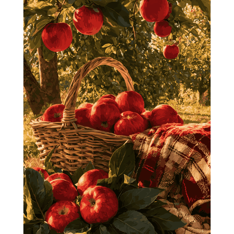 Orchard Apple Basket | Paint by Number