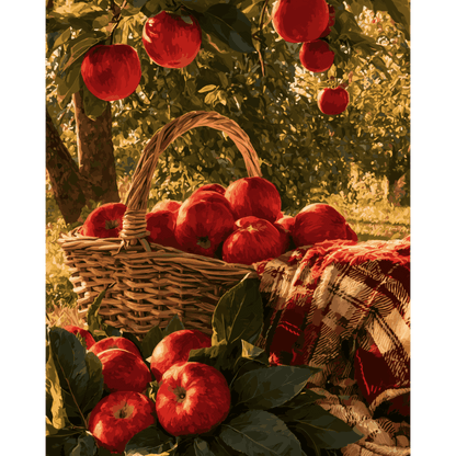 Orchard Apple Basket | Paint by Number