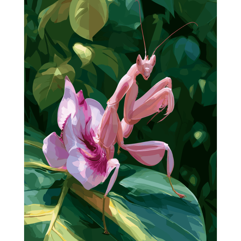 Orchid Mantis | Paint by Number - Paint by numbers