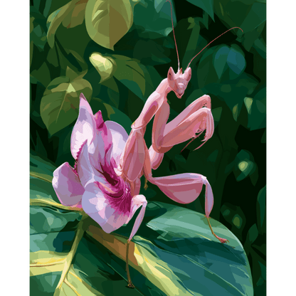 Orchid Mantis | Paint by Number - Paint by numbers
