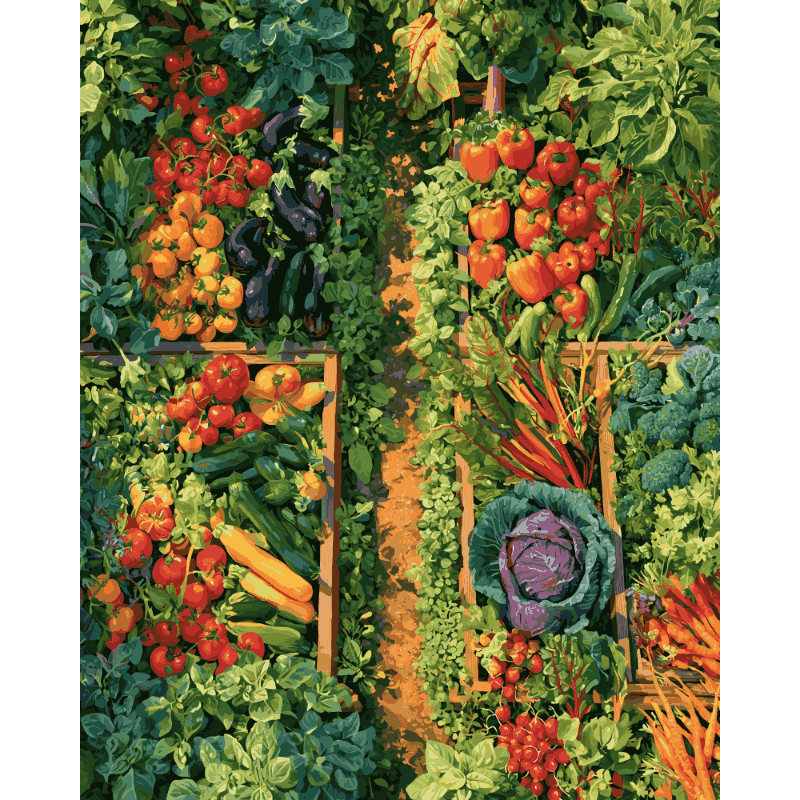 Garden Rows From Above | Paint by Number - Paint by numbers