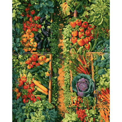 Garden Rows From Above | Paint by Number - Paint by numbers