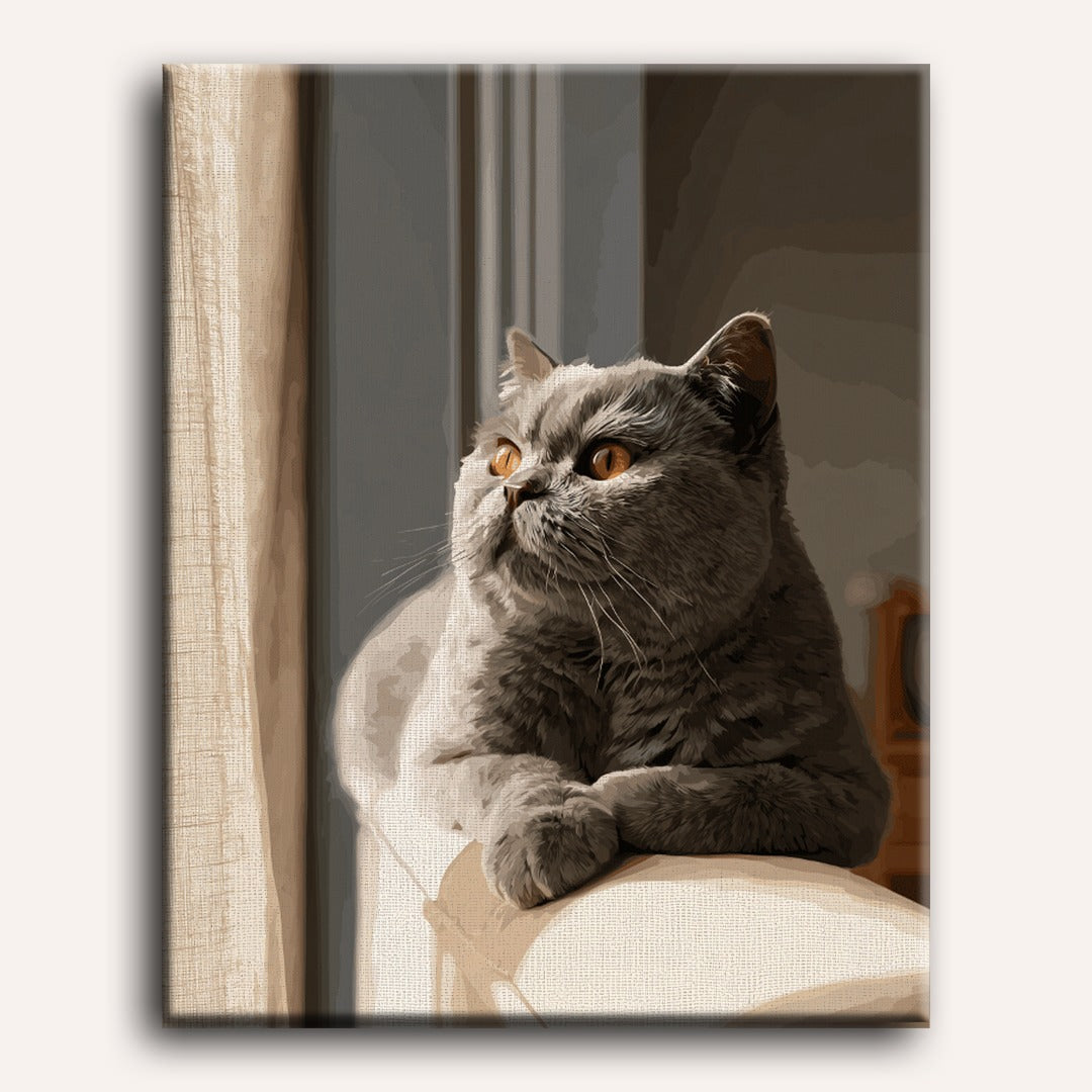 La rêverie du chat gris | Peinture à numéros