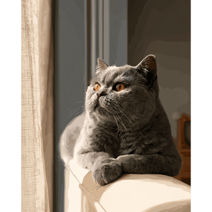 La rêverie du chat gris | Peinture à numéros