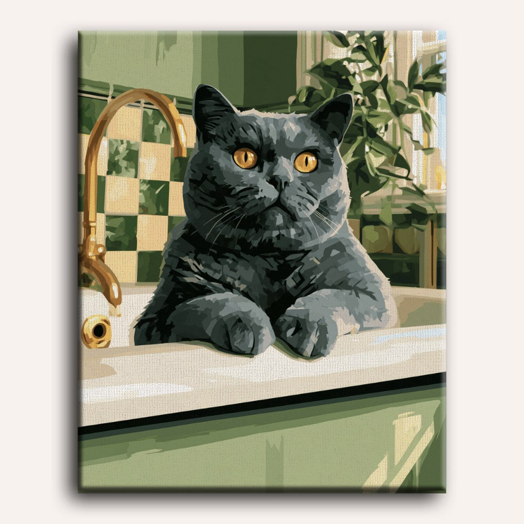 Gato junto al lavabo | Pintar por números