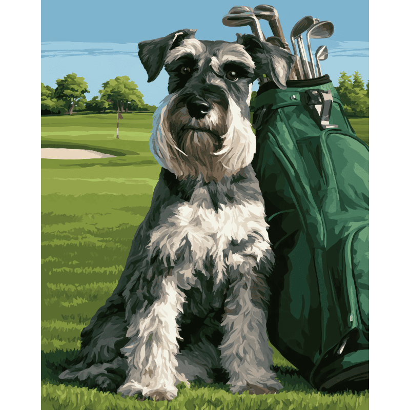 Schnauzer sul Fairway | Dipingi con i numeri