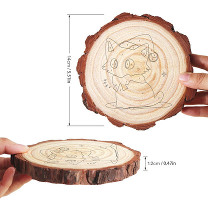 Paint by Number Pine Wood Slice - Christmas Cat