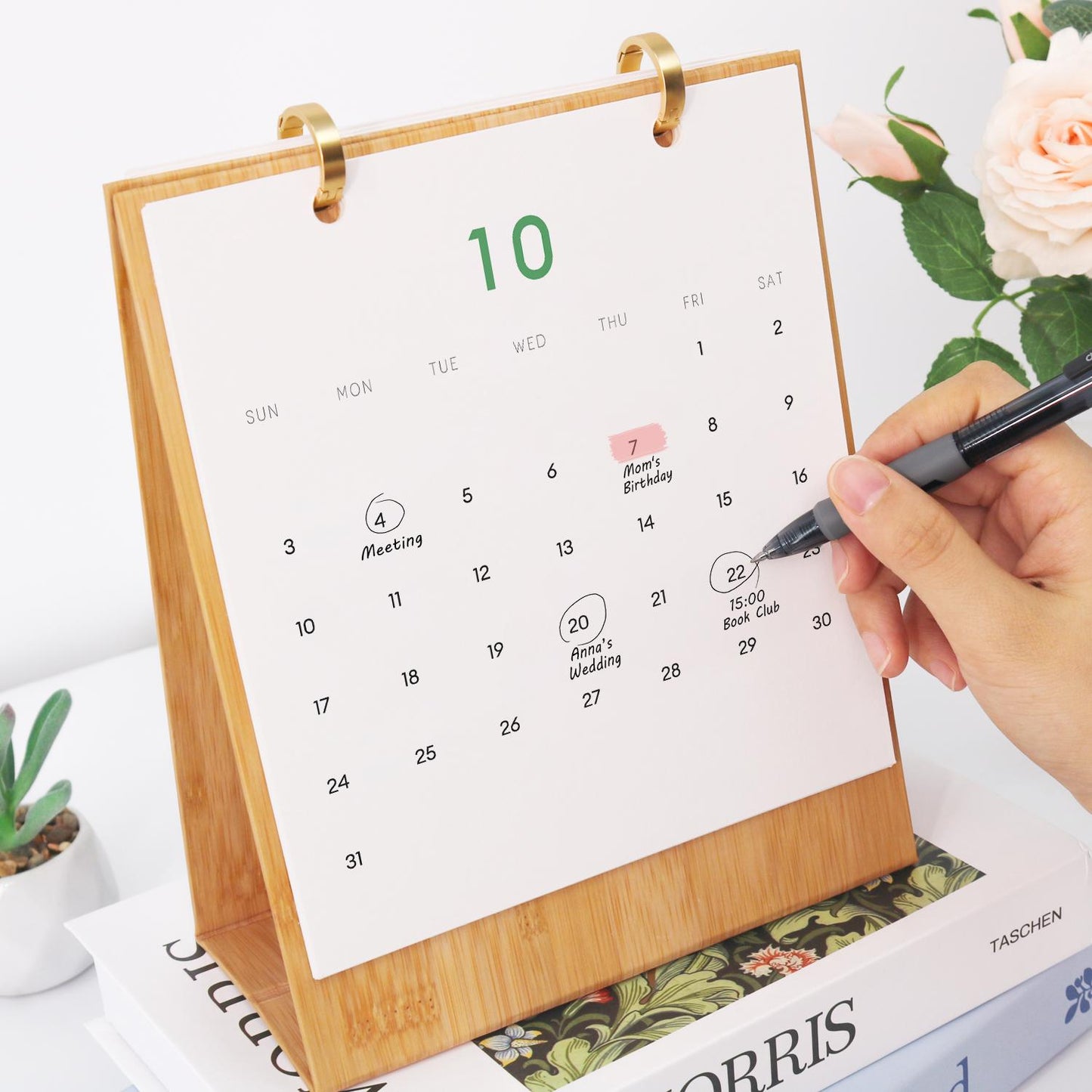 2027 Paint by Numbers Desk Calendar | Plants Edition