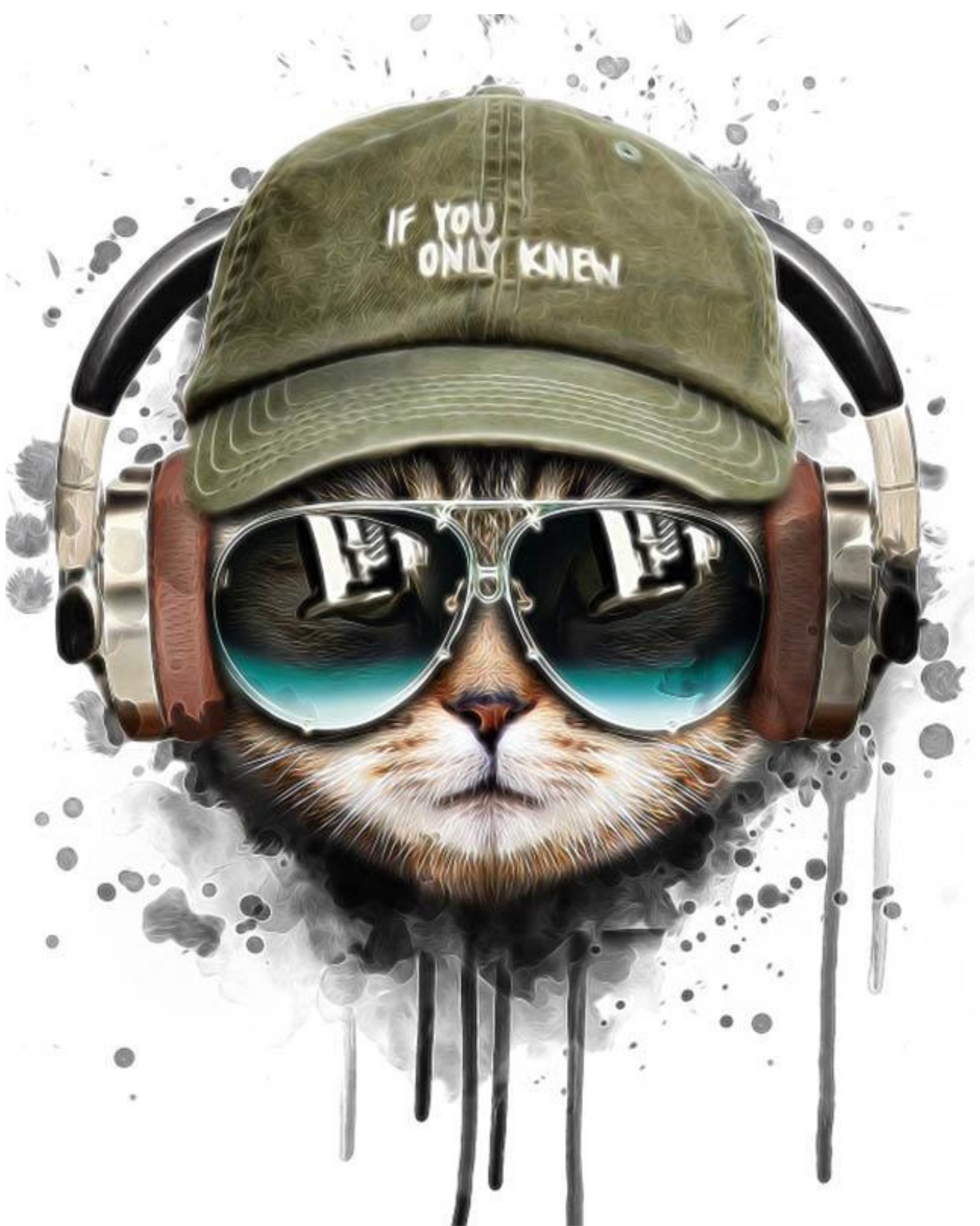 Paint by numbers - Cool Cat with Headphones | Paint by Numbers