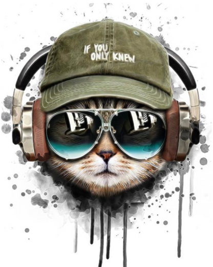 Paint by numbers - Cool Cat with Headphones | Paint by Numbers