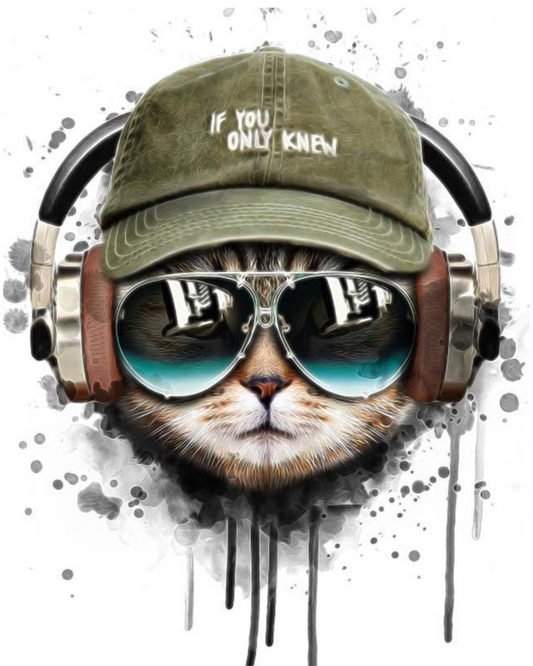 Paint by numbers - Cool Cat with Headphones | Paint by Numbers