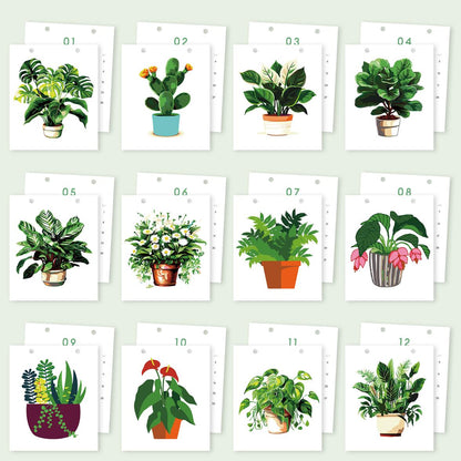 2027 Paint by Numbers Desk Calendar | Plants Edition