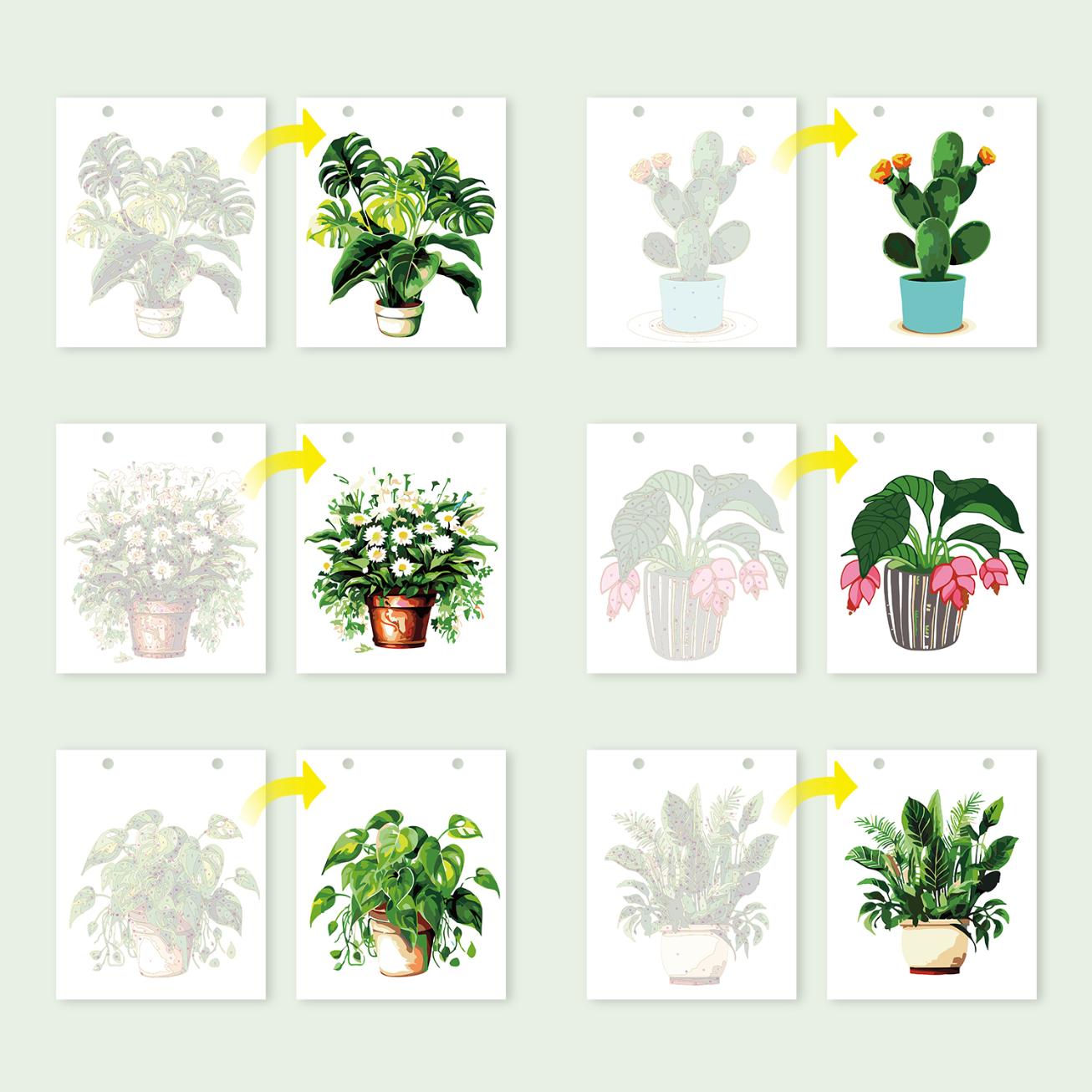 2027 Paint by Numbers Desk Calendar | Plants Edition