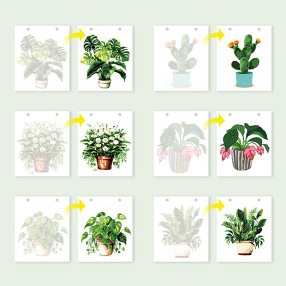2027 Paint by Numbers Desk Calendar | Plants Edition