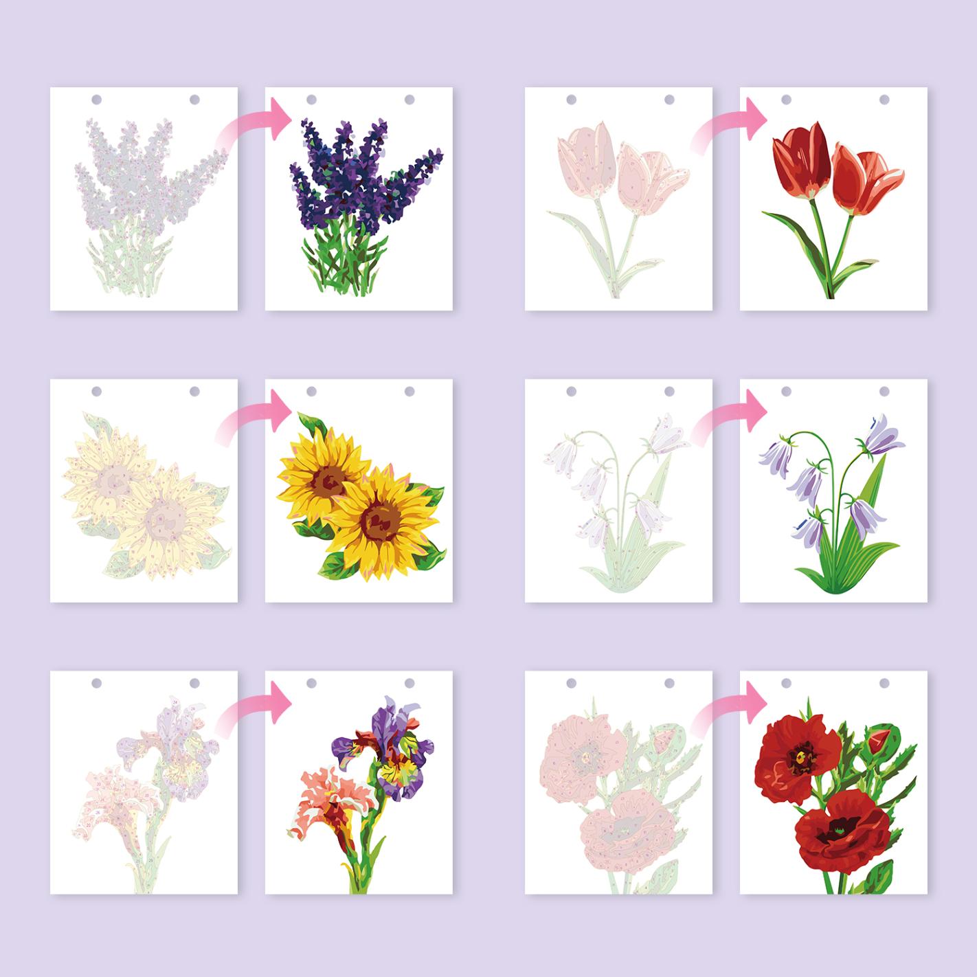2027 Paint by Numbers Desk Calendar | Flowers Edition