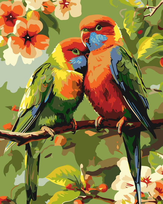 2 Colorful Birds | Paint by Numbers-Paint by numbers