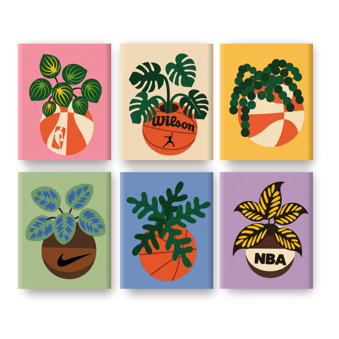 6 Mini Paintings - Blooming Basketball Set- Paint by Numbers