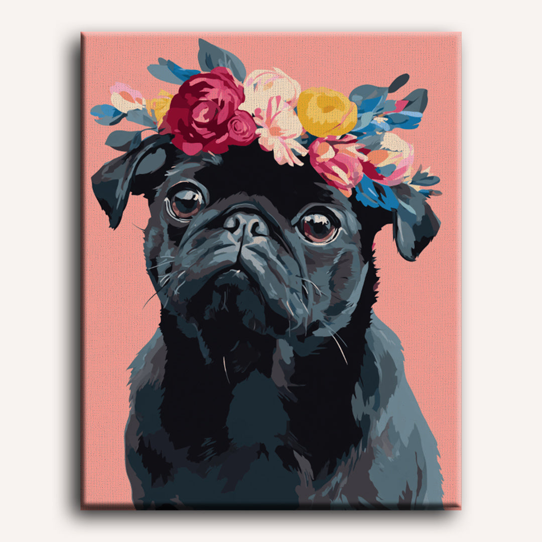 Black Pug Portrait | Paint by Number