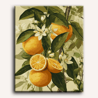 Blooming citrus fruits | Paint by Number