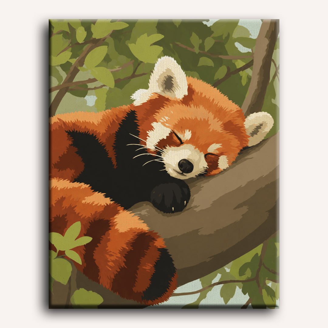 Sleepy Red Panda | Paint by Number