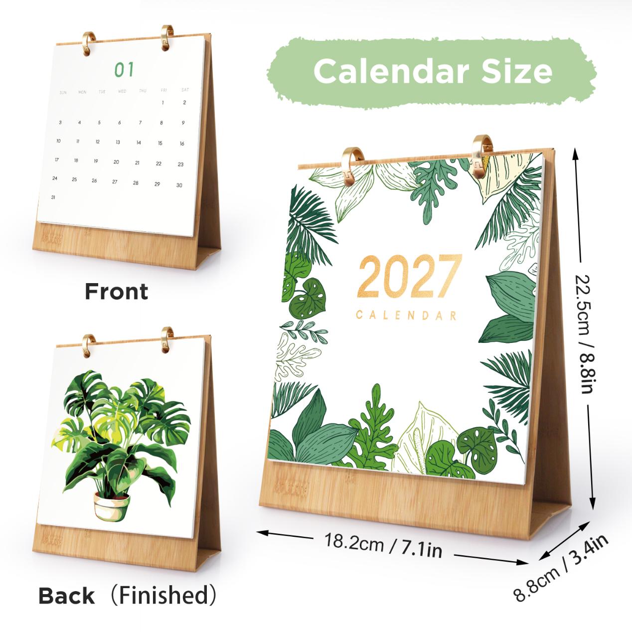 2027 Paint by Numbers Desk Calendar | Plants Edition
