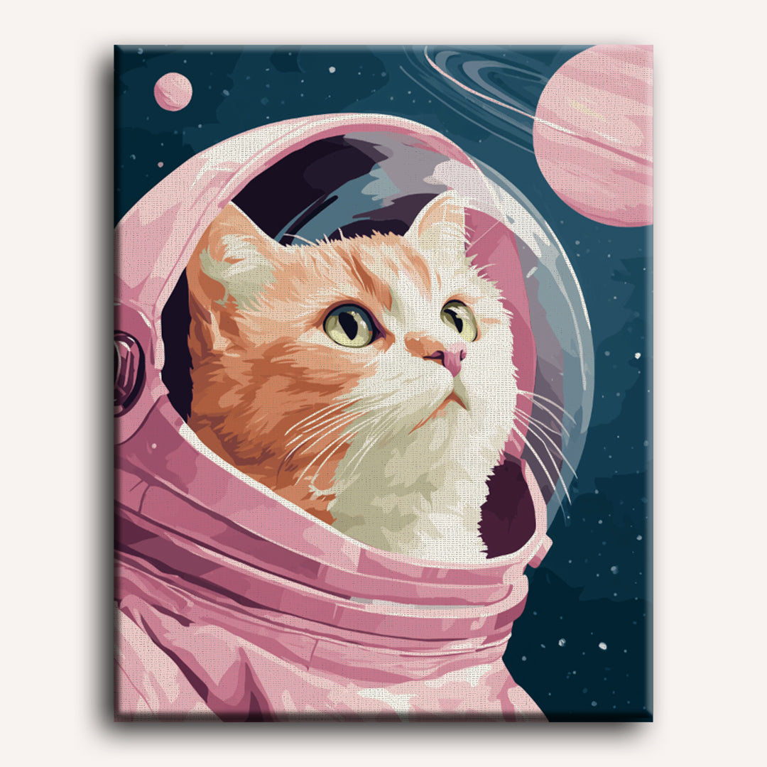 Karvainen astronautti | Numeromaalaus