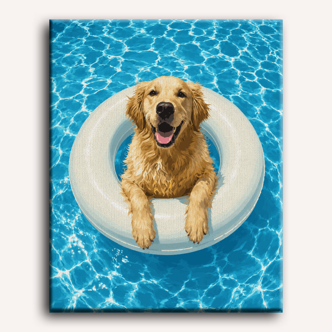 Golden Retriever Swim | Paint by Number