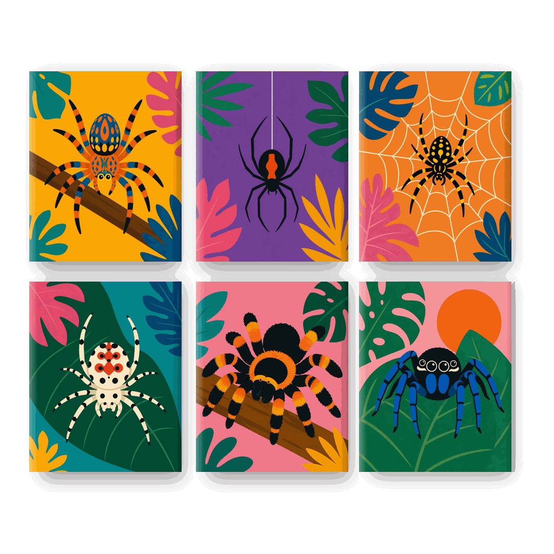 6 Mini Paintings - Exotic Spider Set