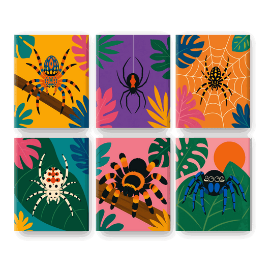 6 Mini Paintings - Exotic Spider Set