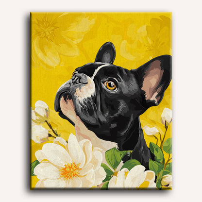 Magnolia’s French | Paint by Number