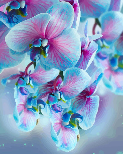 Paint by numbers - Blue Orchids | Paint by Numbers
