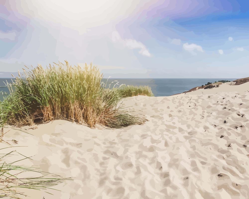 Paint by numbers - Dunes on the Sandy Beach of the Baltic Sea | Paint by Numbers
