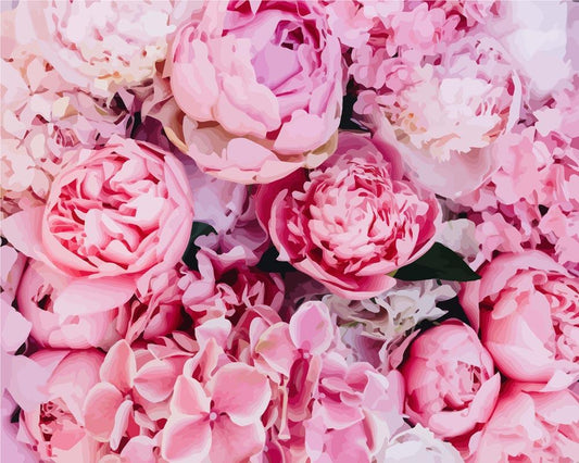 Paint by numbers - Pink Peonies Background | Paint by Numbers
