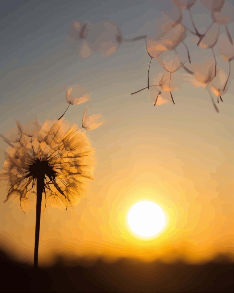 Paint by numbers - Dandelion at Sunset | Paint by Numbers