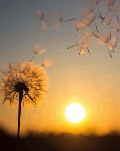 Paint by numbers - Dandelion at Sunset | Paint by Numbers